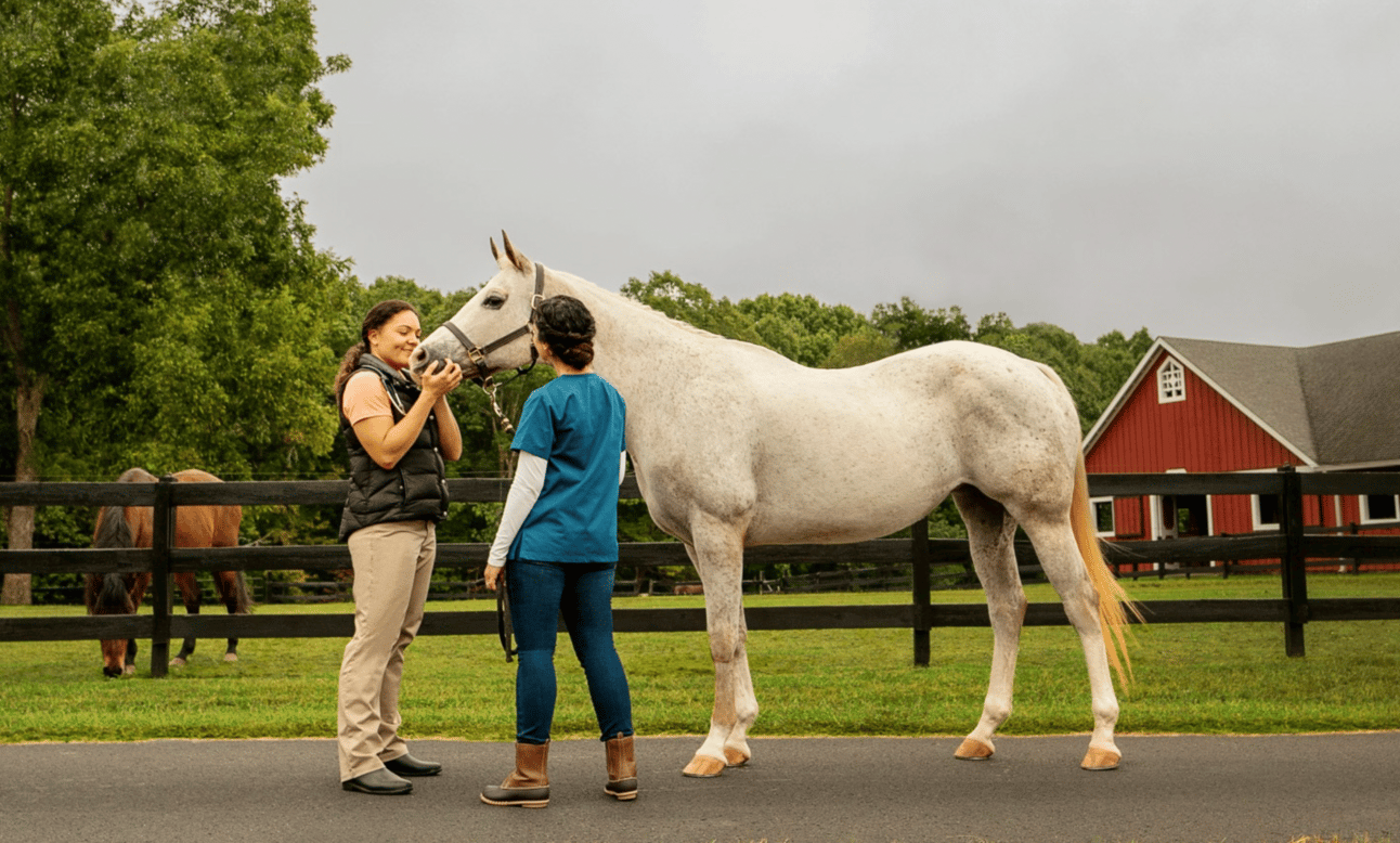 Hero_Image_Horse_Emergencies