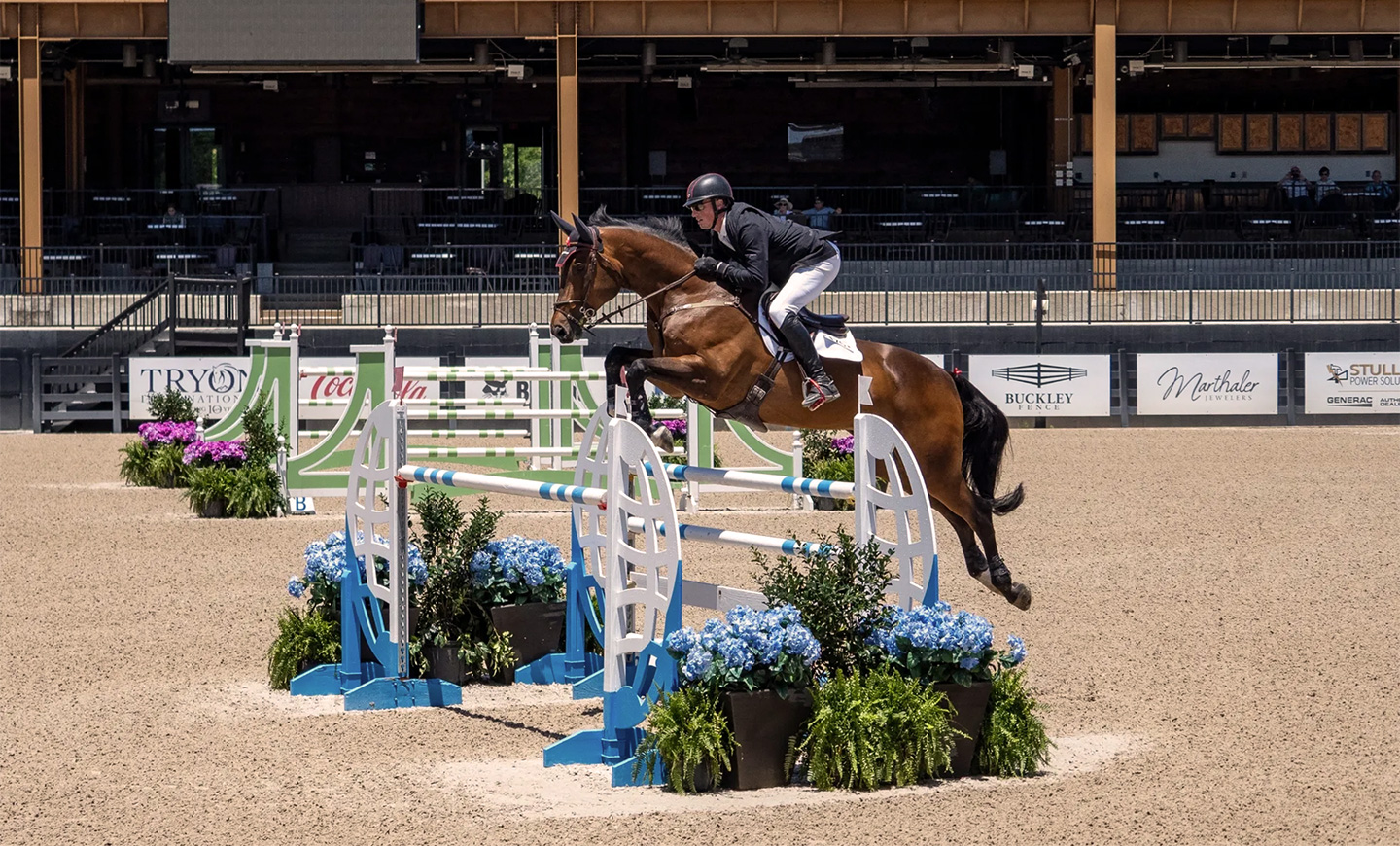 Caring for Elite Equine Athletes Competing on the World Stage