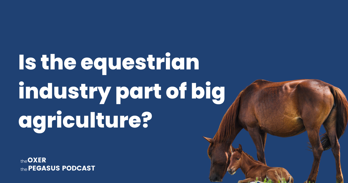 How Does the Equestrian Industry Fit Into Agriculture?