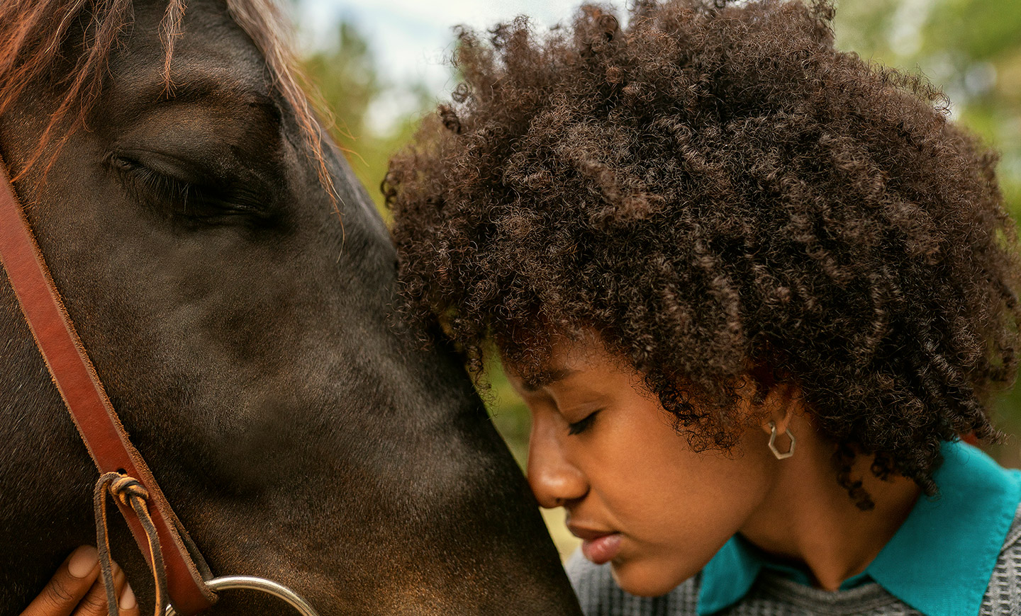 Expanding the Hoofprint for Healing