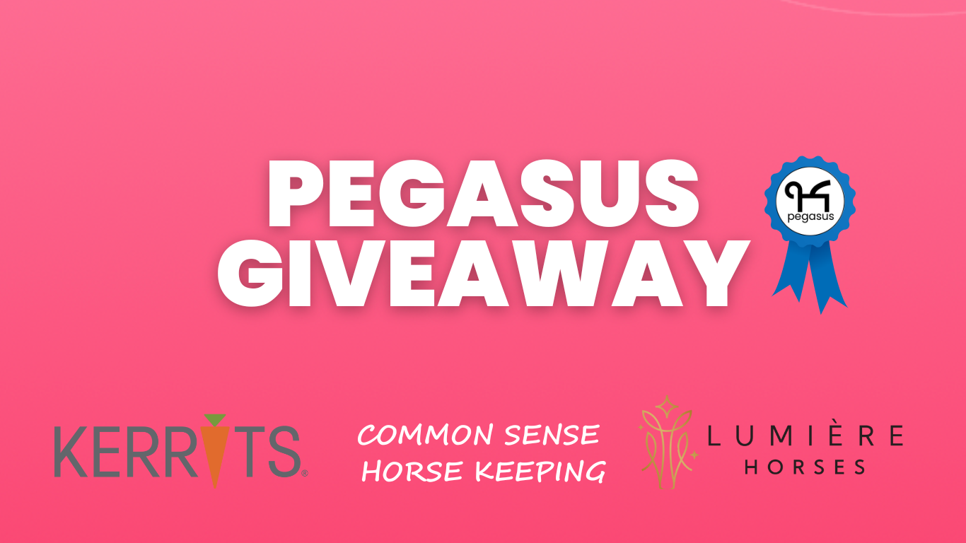 Exciting Giveaway Alert! Win Amazing Equestrian Prizes! 🎉🐴