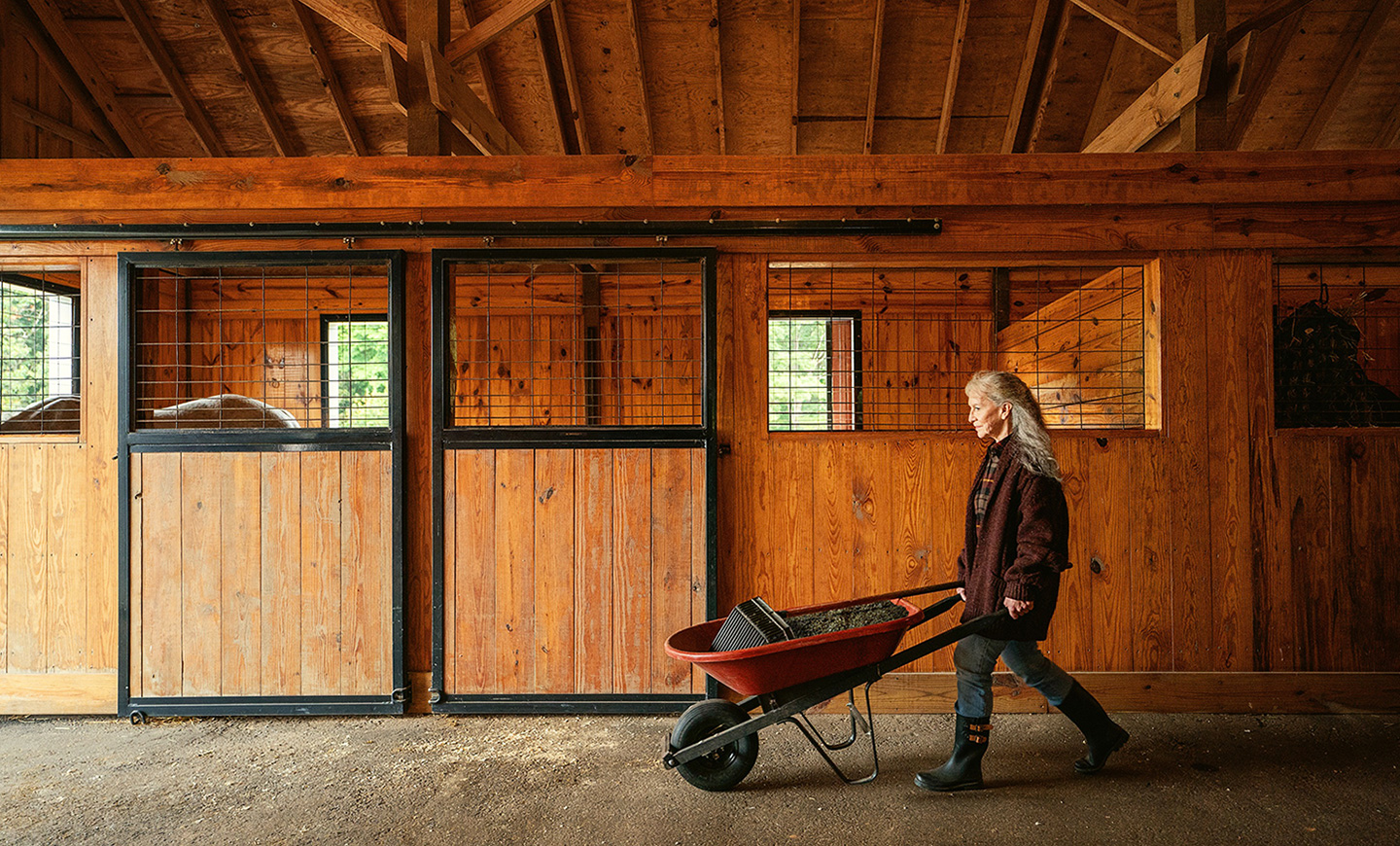 Spring Into Action: A Horse’s Guide to Blooming Health and Fitness