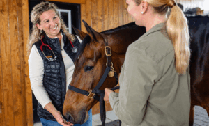 Veterinarian gently interacting with a sedated horse while discussing care with the owner during a routine procedure in a barn.