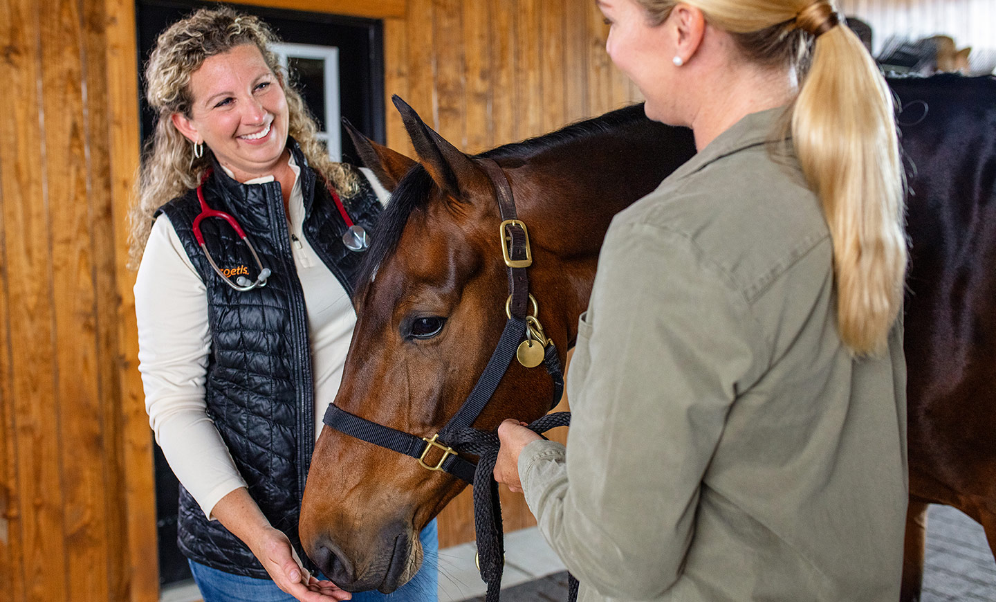 Equine sedation requires experienced veterinary support and clear communication between horse owners and care providers. This image shows a Zoetis veterinarian ensuring the horse remains calm and comfortable throughout the process.