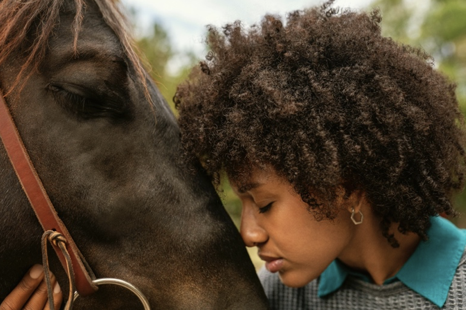 Interacting with horses