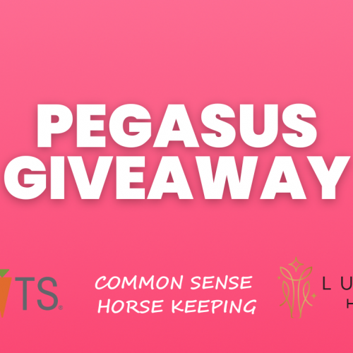 Exciting Giveaway Alert! Win Amazing Equestrian Prizes! 🎉🐴