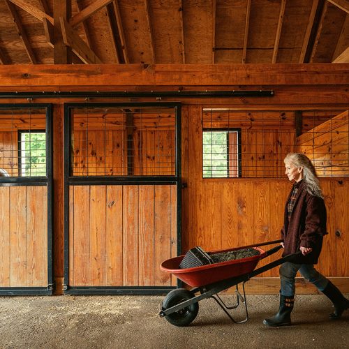 Spring Into Action: A Horse’s Guide to Blooming Health and Fitness