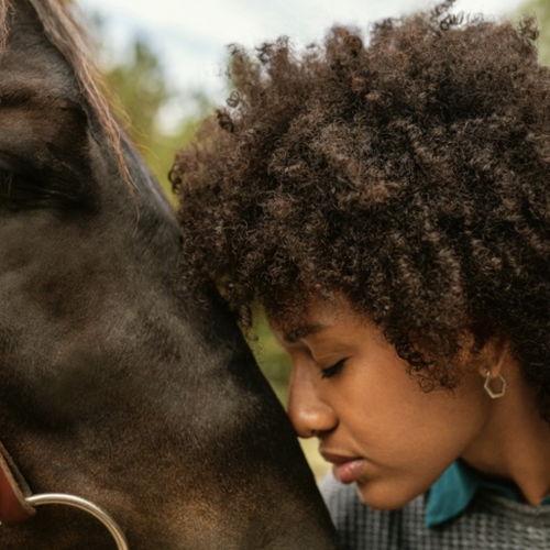 Interacting with horses